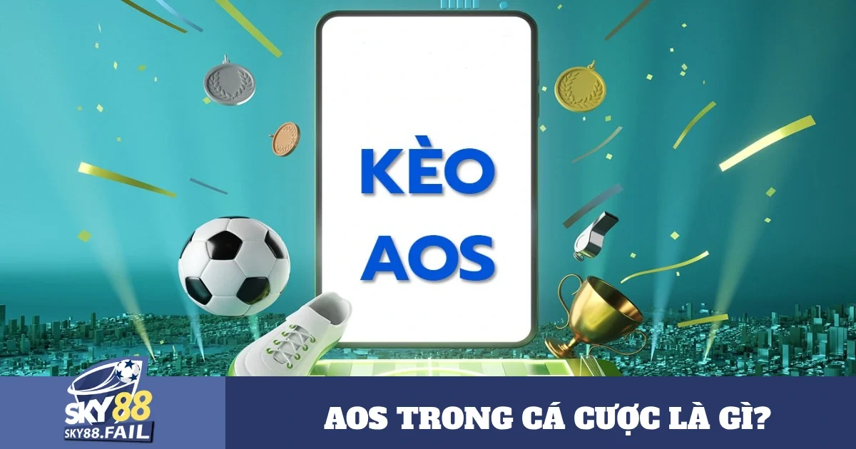 aos trong ca cuoc la gi 5