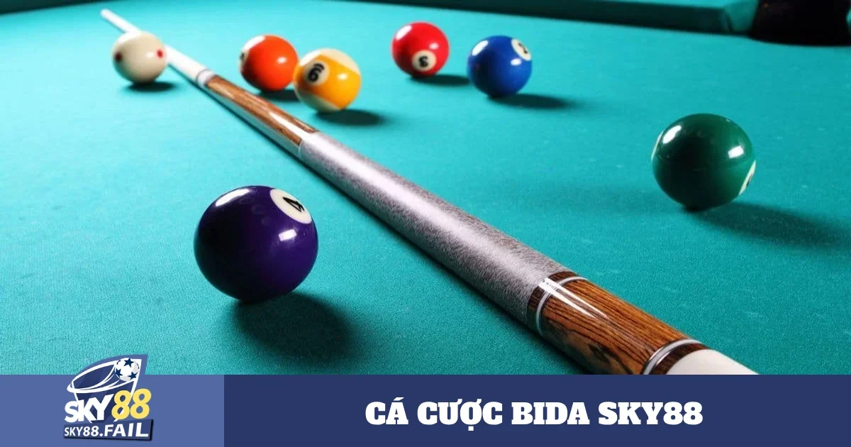 Cá Cược Bida Với Kèo Đặc Biệt