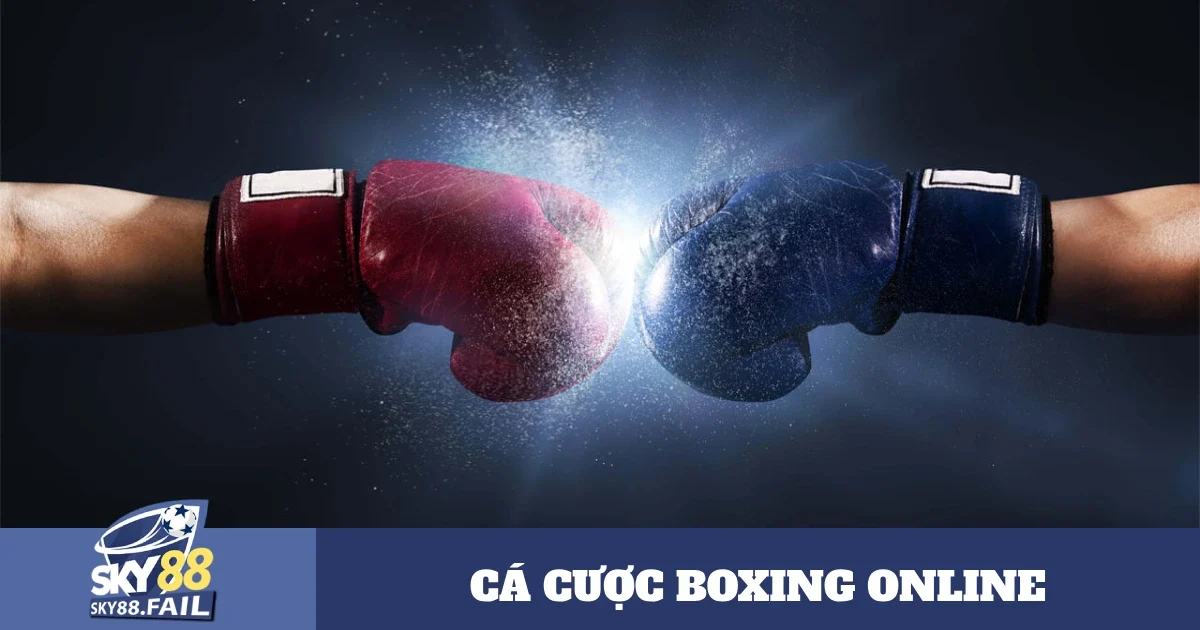 Điểm Đặc Biệt Khi Chọn Boxing Tại Sky88