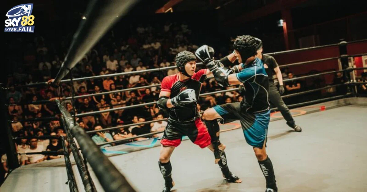 Hướng Dẫn Cá Cược Boxing Online