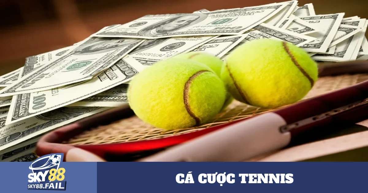 Hướng Dẫn Cá Cược Tennis Dành Cho Người Mới